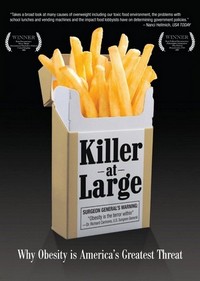 Killer at Large (2008) - poster