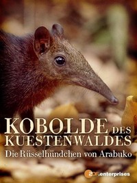 Kobolde des Küstenwaldes - Die Rüsselhündchen von Arabuko (2008) - poster