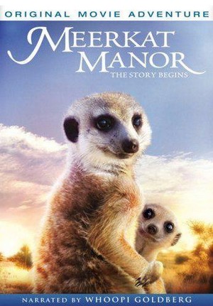 Meerkat Manor: The Story Begins (2008) - poster