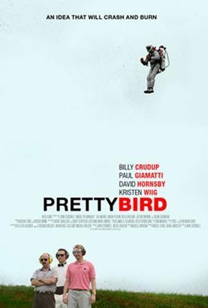 Pretty Bird (2008) - poster