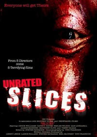 Slices (2008) - poster