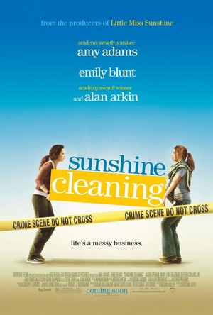 Sunshine Cleaning (2008) - poster