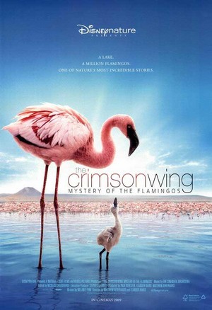 The Crimson Wing: Mystery of the Flamingos (2008) - poster