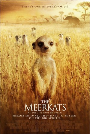 The Meerkats (2008) - poster