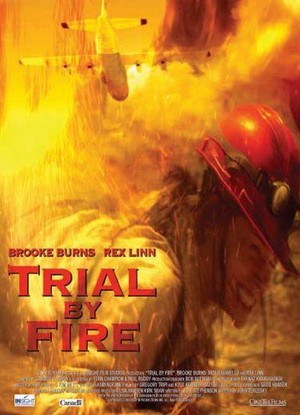 Trial by Fire (2008) - poster