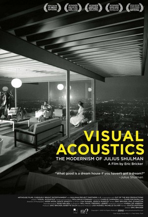 Visual Acoustics (2008) - poster