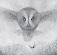 Volgens de Vogels (2008) - poster