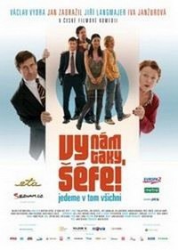 Vy Nám Taky Séfe! (2008) - poster