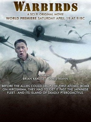 Warbirds (2008) - poster