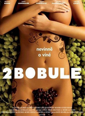 2Bobule (2009) - poster