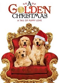 A Golden Christmas (2009) - poster