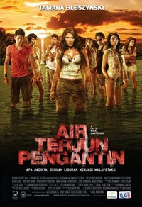 Air Terjun Pengantin (2009) - poster