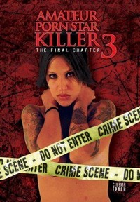 Amateur Porn Star Killer 3: The Final Chapter (2009) - poster