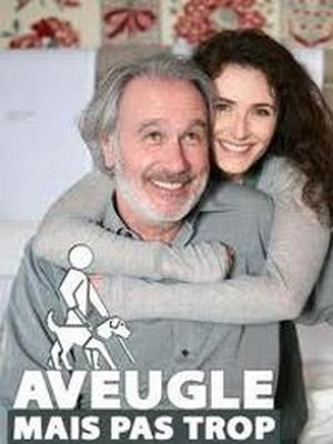 Aveugle Mais Pas Trop (2009) - poster