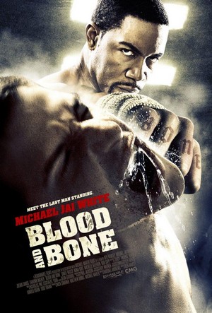 Blood and Bone (2009) - poster