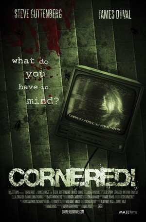 Cornered! (2009) - poster