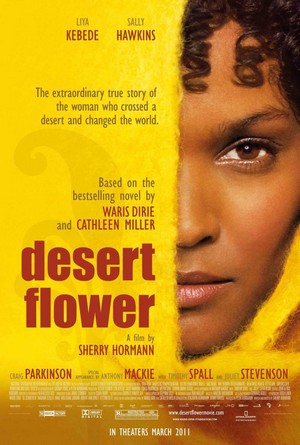 Desert Flower (2009) - poster
