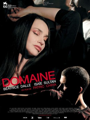 Domaine (2009) - poster
