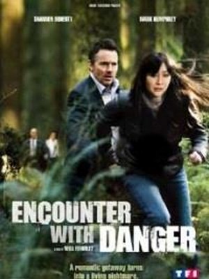 Encounter with Danger (2009) - poster