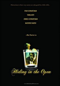 Hiding in the Open (2009) - poster