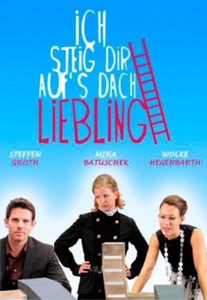 Ich Steig' Dir aufs Dach, Liebling (2009) - poster