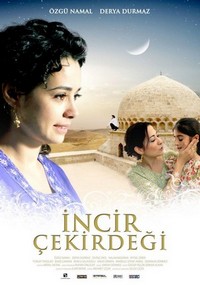 Incir Çekirdegi (2009) - poster