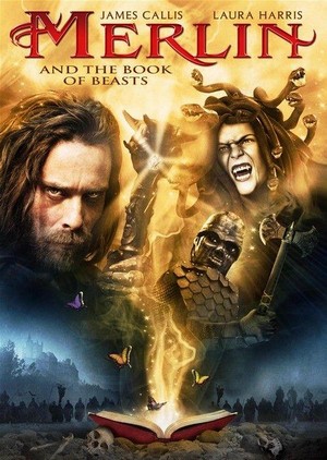 Merlin and the Book of Beasts (2009) - poster