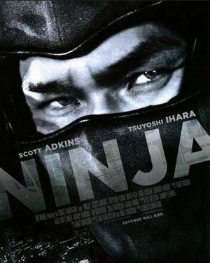 Ninja (2009) - poster