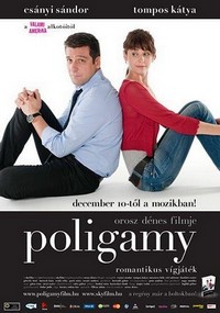 Poligamy (2009) - poster