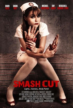 Smash Cut (2009) - poster