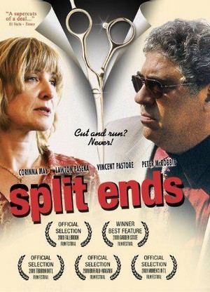 Split Ends (2009) - poster