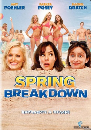 Spring Breakdown (2009) - poster