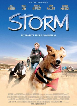 Storm (2009) - poster