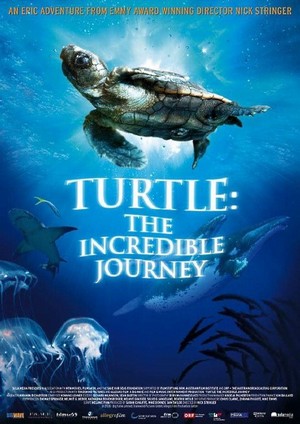 Turtle: The Incredible Journey (2009) - poster