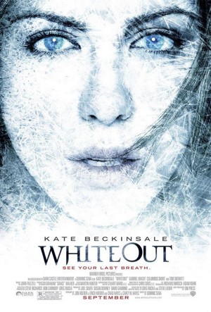 Whiteout (2009) - poster
