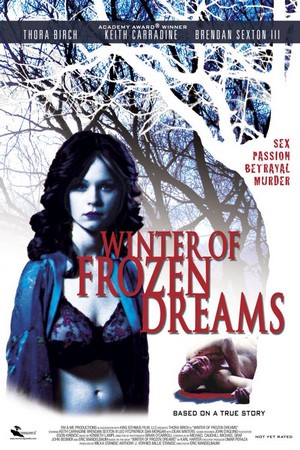 Winter of Frozen Dreams (2009) - poster