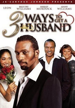 3 Ways to Get a Husband (2010) - poster