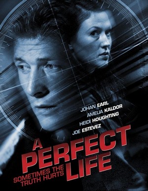 A Perfect Life (2010) - poster