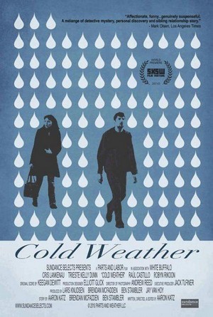 Cold Weather (2010) - poster