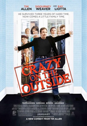 Crazy on the Outside (2010) - poster
