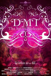 DMT: The Spirit Molecule (2010) - poster