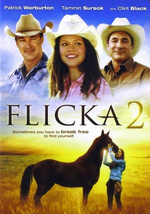 Flicka 2 (2010) - poster