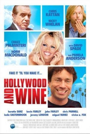 Hollywood & Wine (2010) - poster