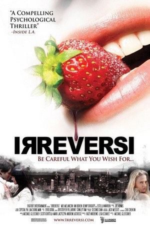 Irreversi (2010) - poster