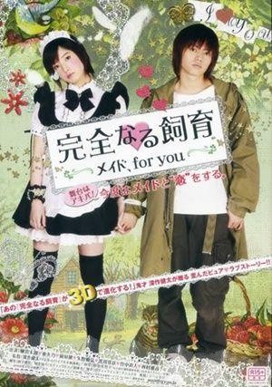 Kanzen Naru Shiiku: Meido, for You (2010) - poster