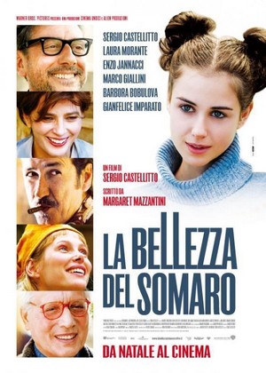 La Bellezza del Somaro (2010) - poster