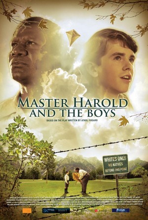 Master Harold... and the Boys (2010) - poster