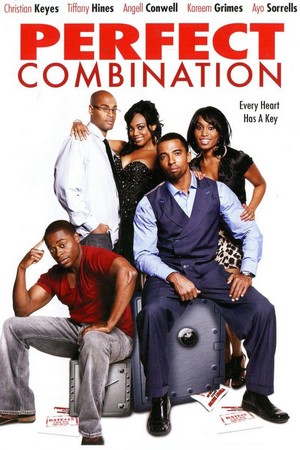 Perfect Combination (2010) - poster
