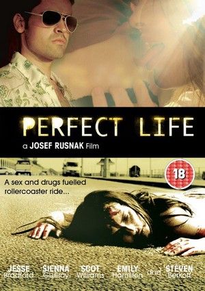 Perfect Life (2010) - poster