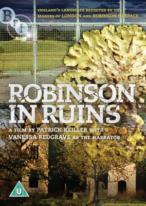 Robinson in Ruins (2010) - poster